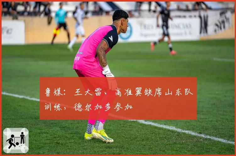 鲁媒：王大雷、高准翼缺席山东队训练，德尔加多参加