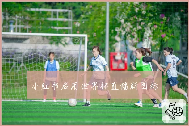 小红书启用世界杯直播新图标