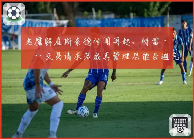 老鹰解雇斯奈德传闻再起，特雷·杨交易请求若成真管理层能否避免全面崩塌？