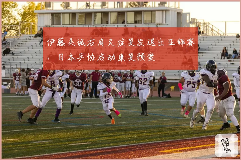 伊藤美诚右肩炎症复发退出亚锦赛,日本乒协启动康复预案