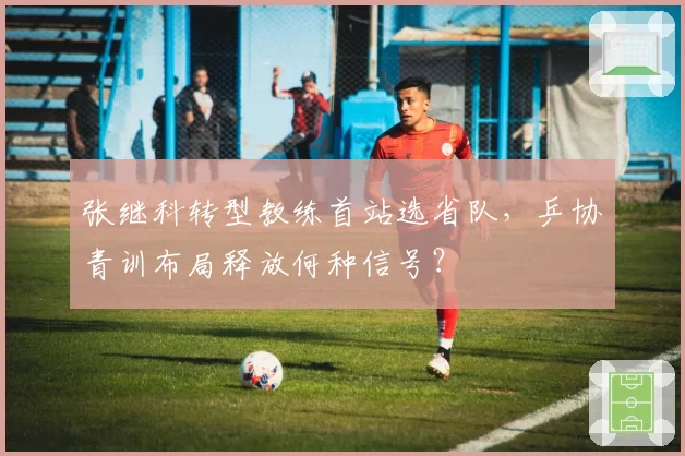 张继科转型教练首站选省队，乒协青训布局释放何种信号？