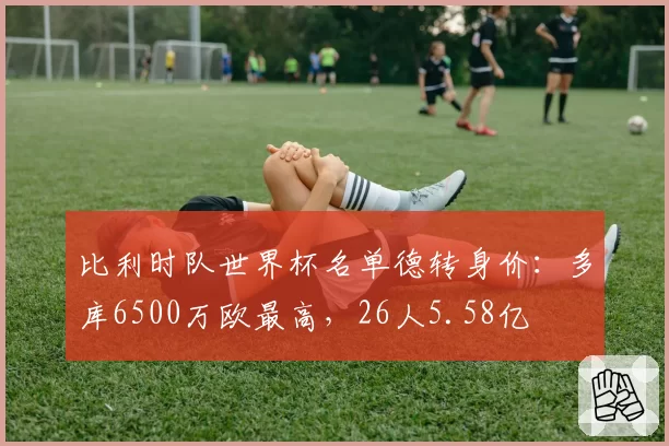 比利时队世界杯名单德转身价：多库6500万欧最高，26人5.58亿