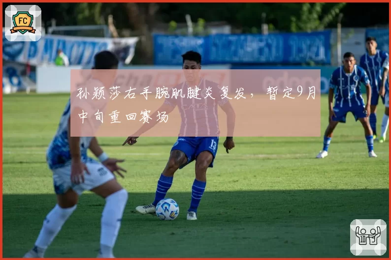 孙颖莎右手腕肌腱炎复发，暂定9月中旬重回赛场