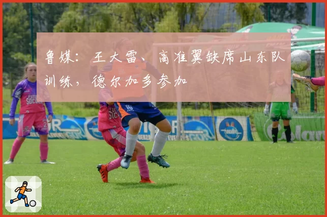鲁媒:王大雷、高准翼缺席山东队训练,德尔加多参加